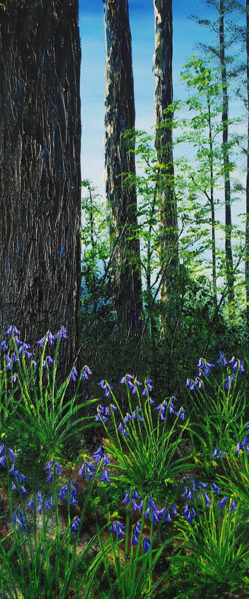 Forest Floor in Spring by Hazel Thomson