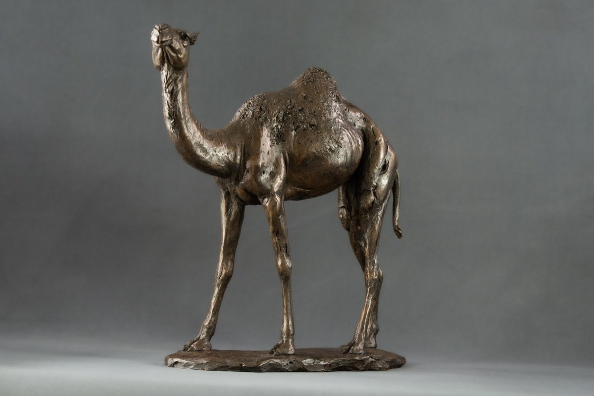 Animal Bronze Sculpture By Tanya Russell, 14 X 14", Camel Bronze Resin Sculpture, Original Artwork