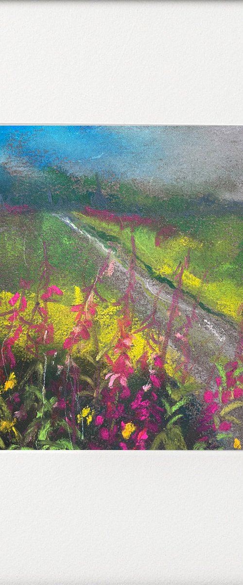 Rosebay Willowherb Summer by Teresa Tanner