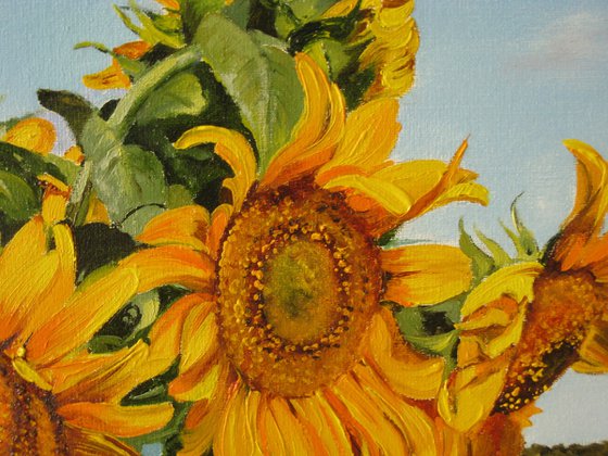 Sunflowers in a rustic basket