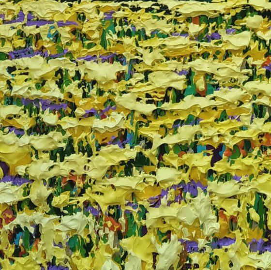 Summer Golden Fields