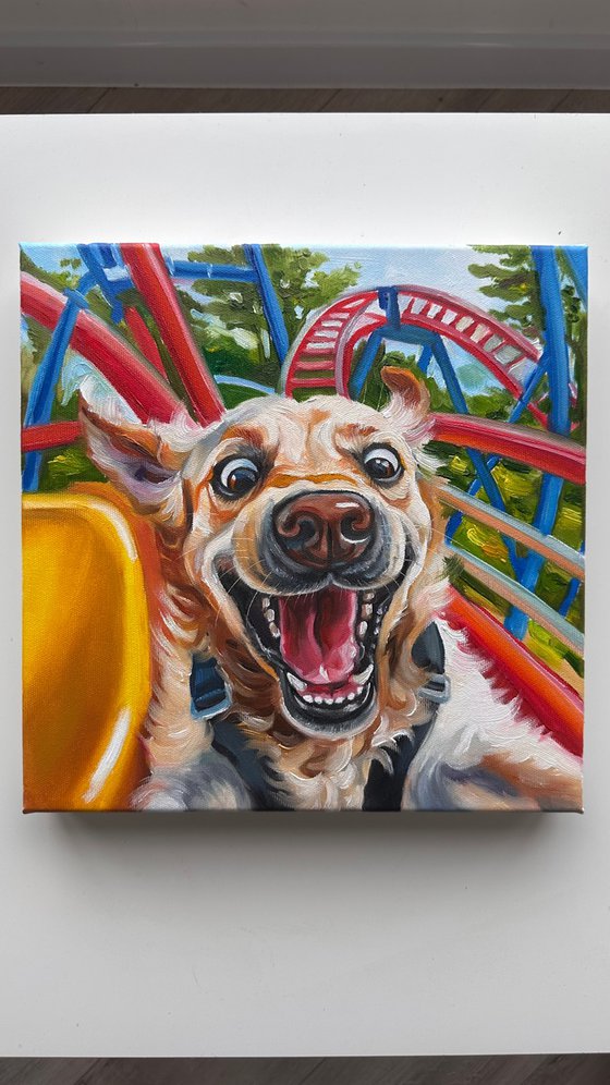 No Brakes | Dog on Rollercoaster