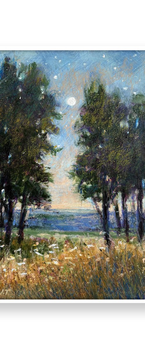 Moonlight Meander by Jennifer Taylor