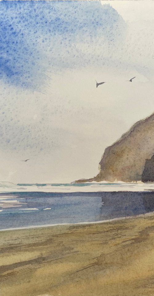 Te Henga by Shelly Du