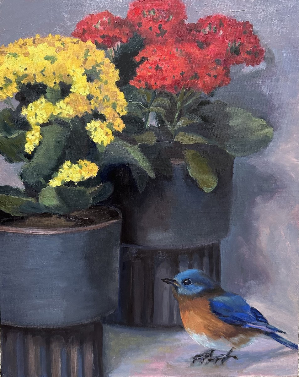 Photorealistic Botanical Oil Painting By Grace Diehl, 11 X 14, Blue Bird, Original Artwork