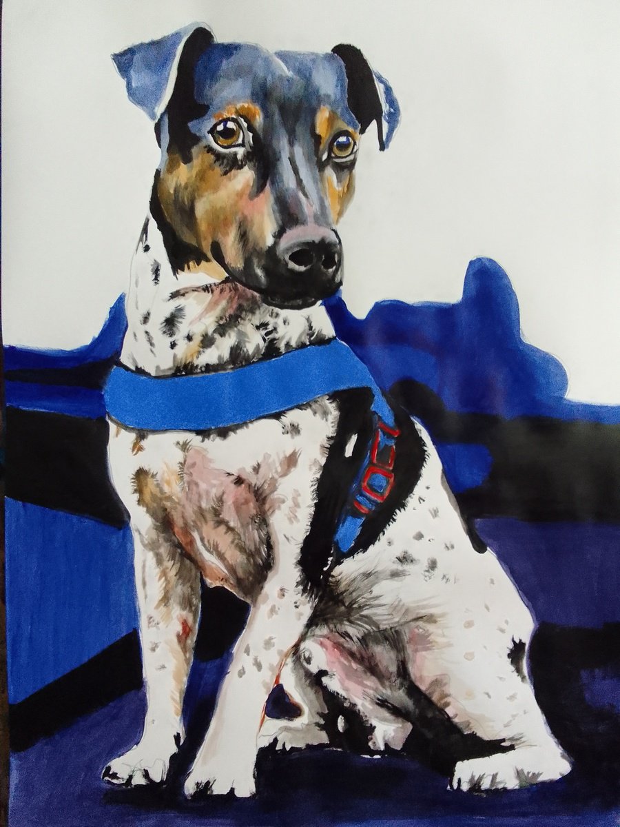 Photorealistic Animal Acrylic Painting By Soso Kumsiashvili, 24 X 33", Jack Russell, Original Artwork