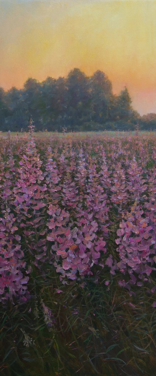 Sunset Over The Fireweed Field by Nikolay Dmitriev