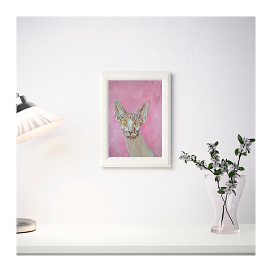 Sphinx cat pink background