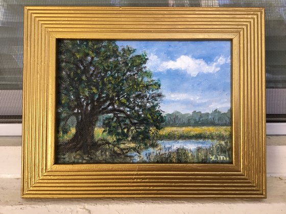 MARSH OAK - oil 5X7 (SOLD)