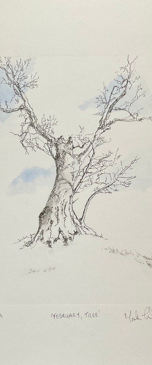 February Tree by Mark Thirlwell