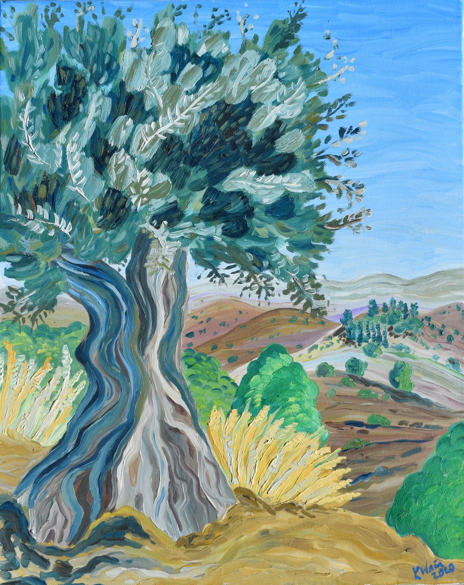 Olive tree in Alhaurin by Kirsty Wain