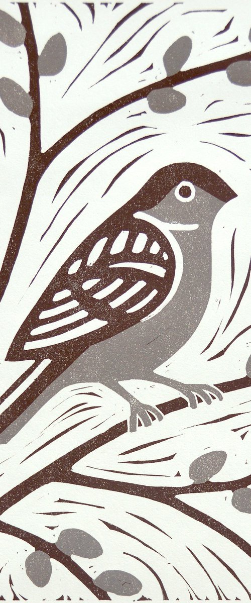 Sparrow by Melissa Birch