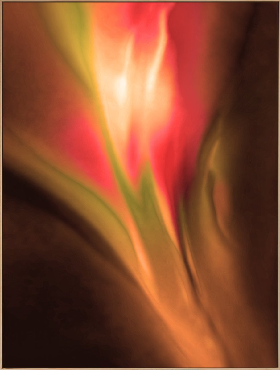 Ascension Iii By Jonas Peres, 53 X 71, Artwork For Sale On Artfinder