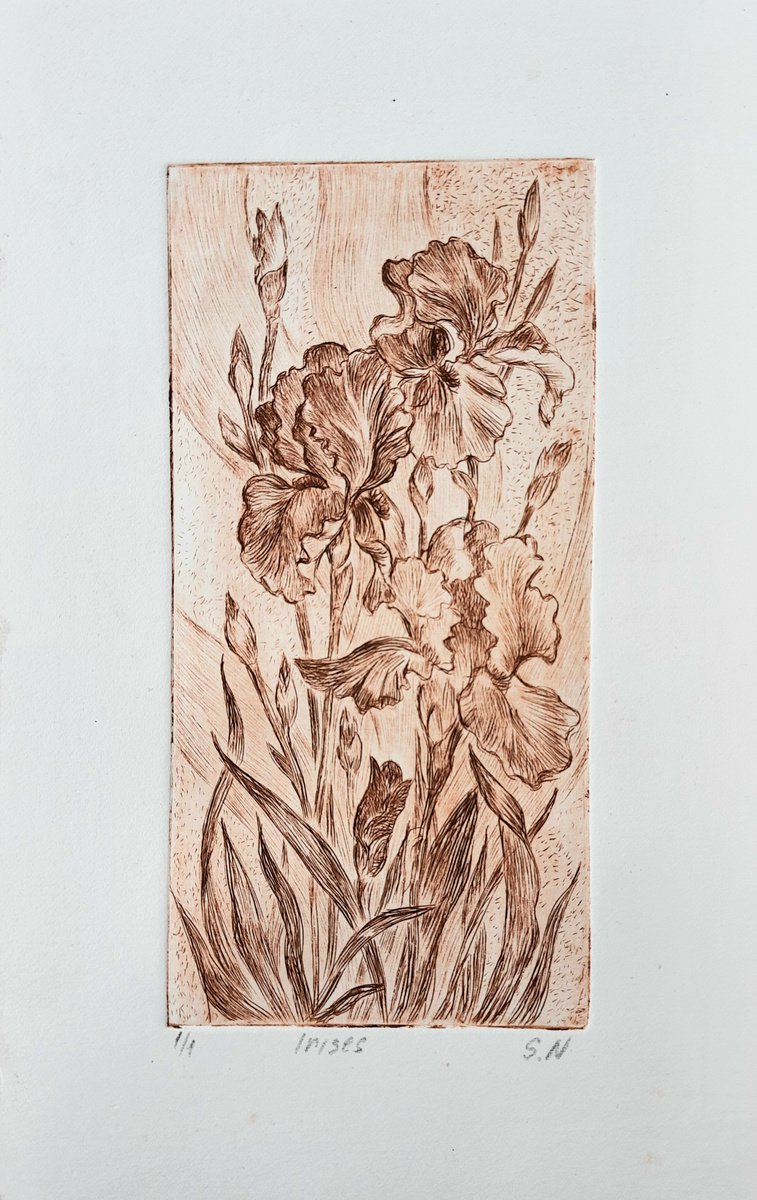 Irises (2021) by Svetlana Norel