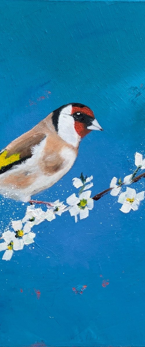 Goldfinch on Cherry Blossom by Laure Bury