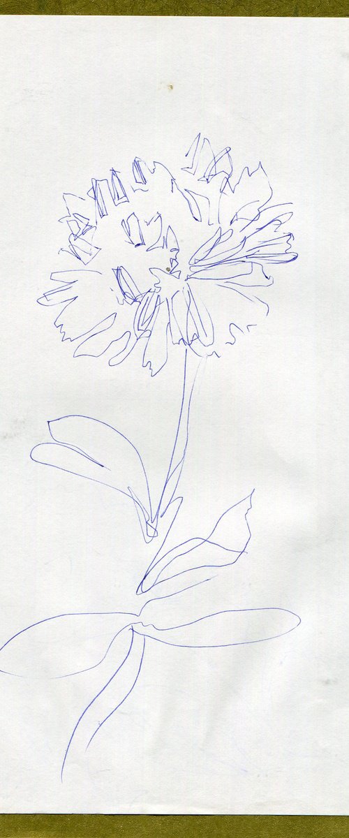 Biro singular flower sketch by Hannah Clark