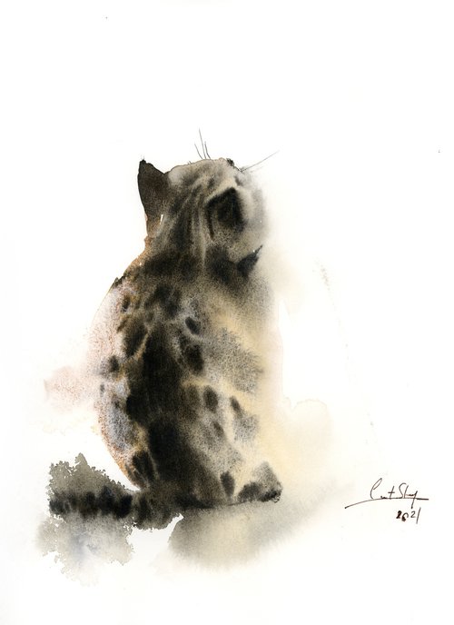 Kitten by Sophie Rodionov
