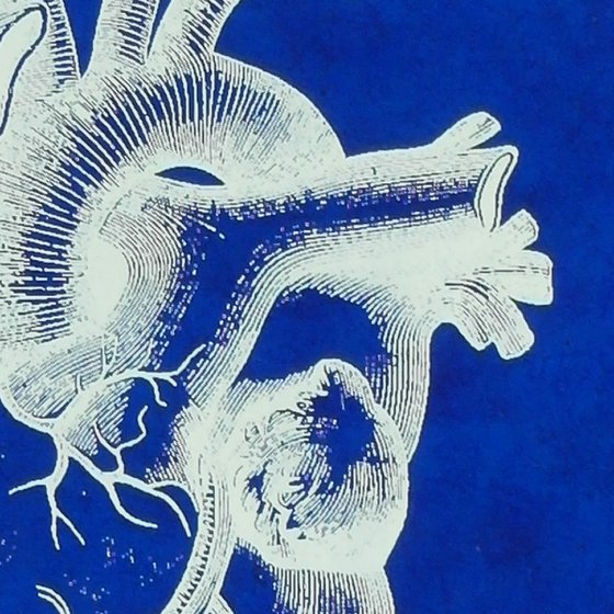 Order Chaos on Handmade Blue Lacquered Paper, Medical Antique Heart and Brain Screen Print