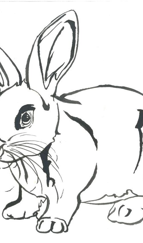 Rabbit I Animal Drawing by Ricardo Machado