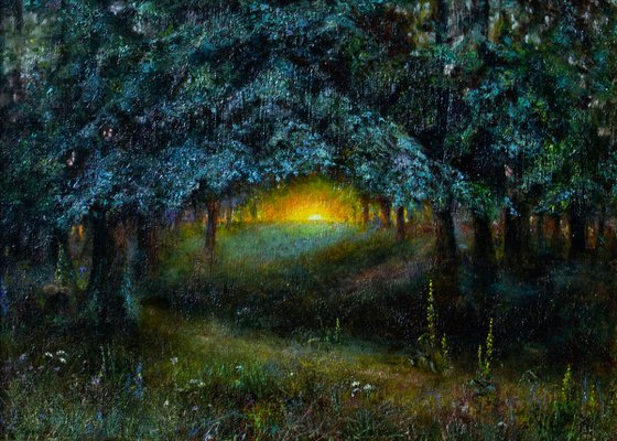 Sunset in the forest