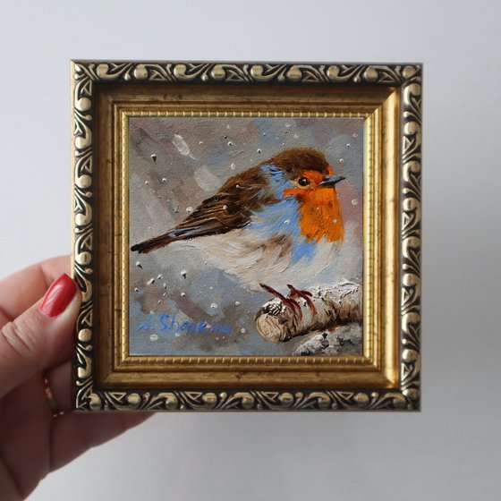 Cardinal and Robin, Set 2