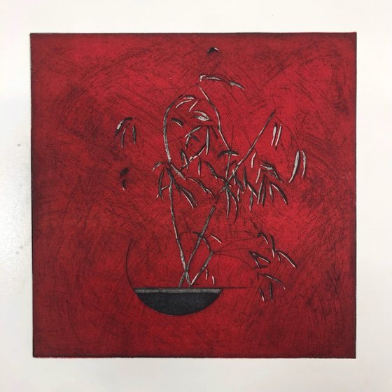 Plant in red