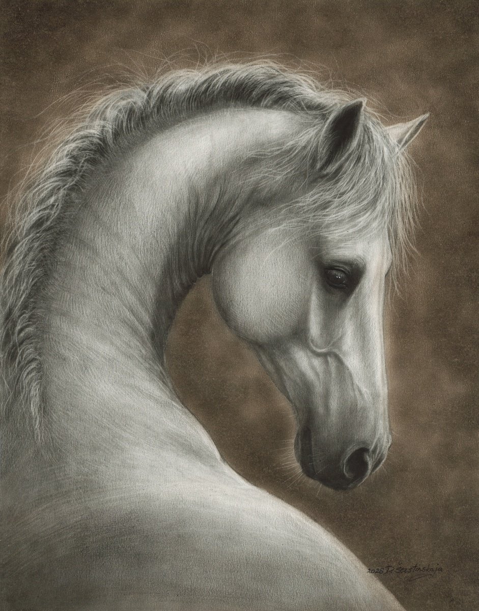 Photorealistic Oil Painting , Silent Elegance By Danguole Serstinskaja, 13 X 17, Artwork For Sale On Artfinder