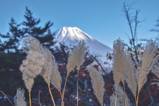 GLIMPSE OF FUJI