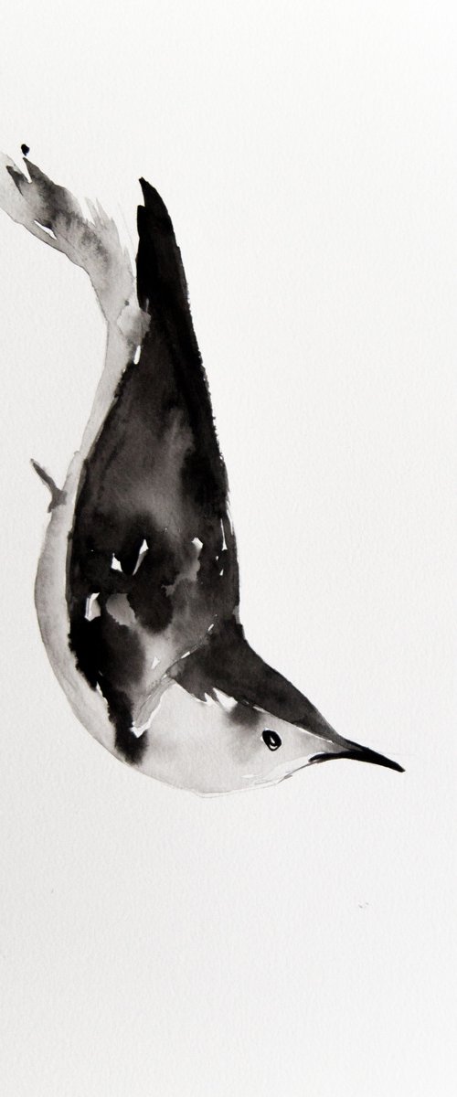 Bird by Nadia Moniatis