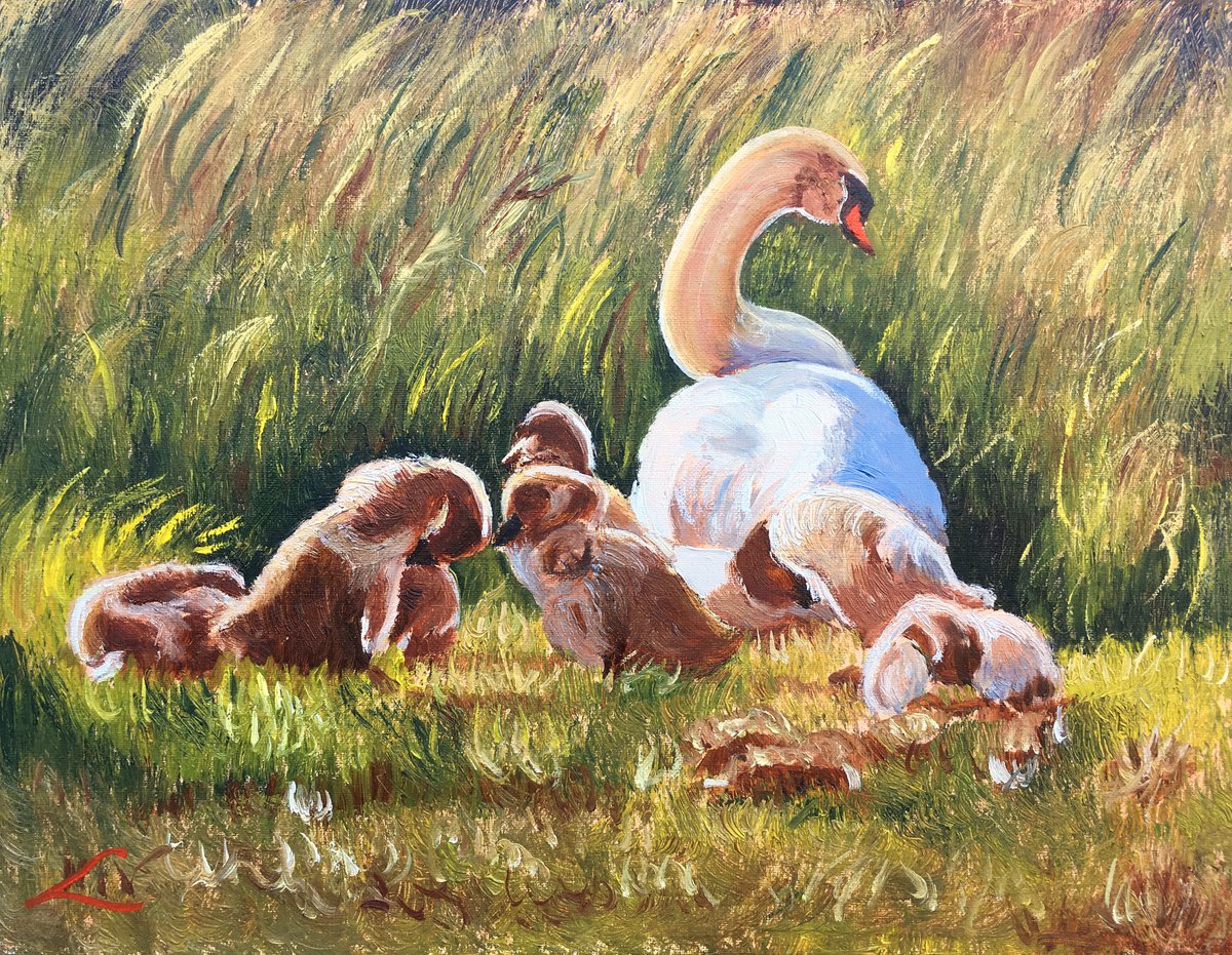 Impressionistic Animal Oil Painting By Elena Sokolova, 18 X 14, Swan And Kids, Original Artwork