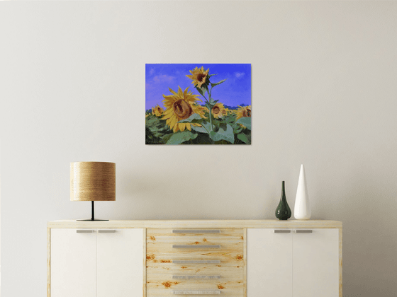 Sunflowers