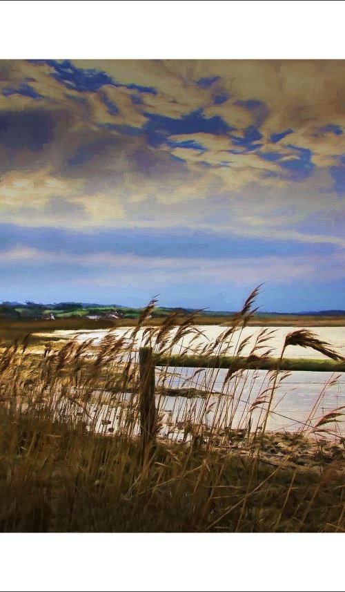 The lake in the Marsh by Martin  Fry