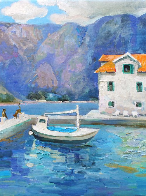 Purring near Kotor by Anastasiia Grygorieva