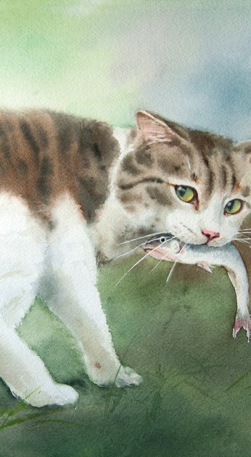 The Fisher Cat  cat with fish by Olga Beliaeva Watercolour