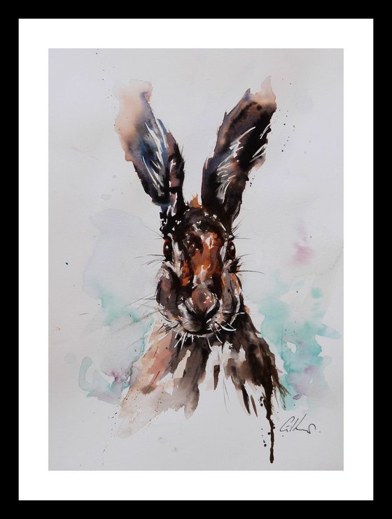 Hare.