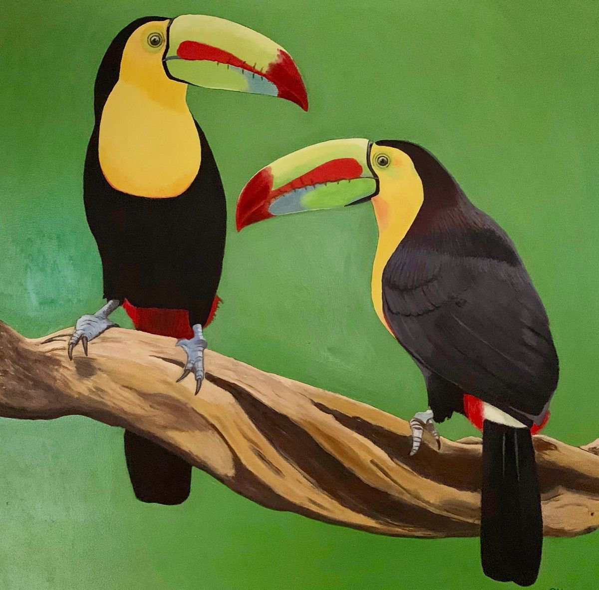 Expressive Animal Giclee Print By Caroline Millott, 16 X 16, Two Toucans, Original Artwork