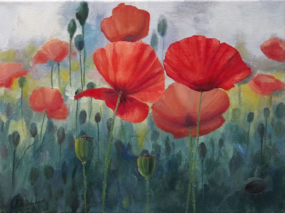 Poppy Field 3