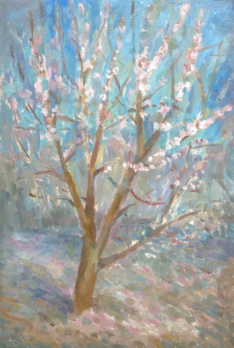 Apricot Tree in Bloom by Roman Sergienko
