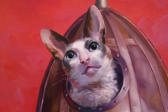 "Space Cat"