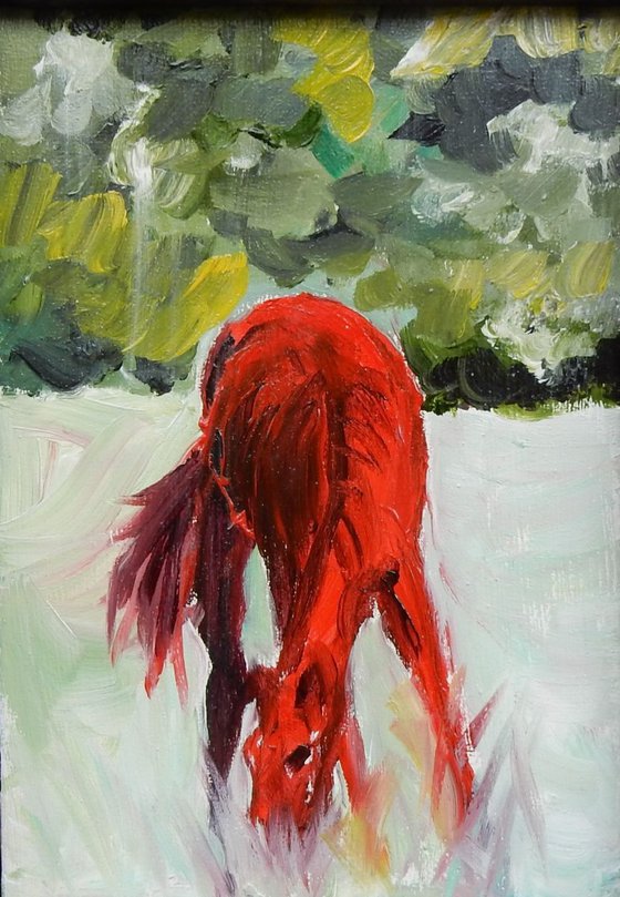 Red horse in a field. small framed painting.