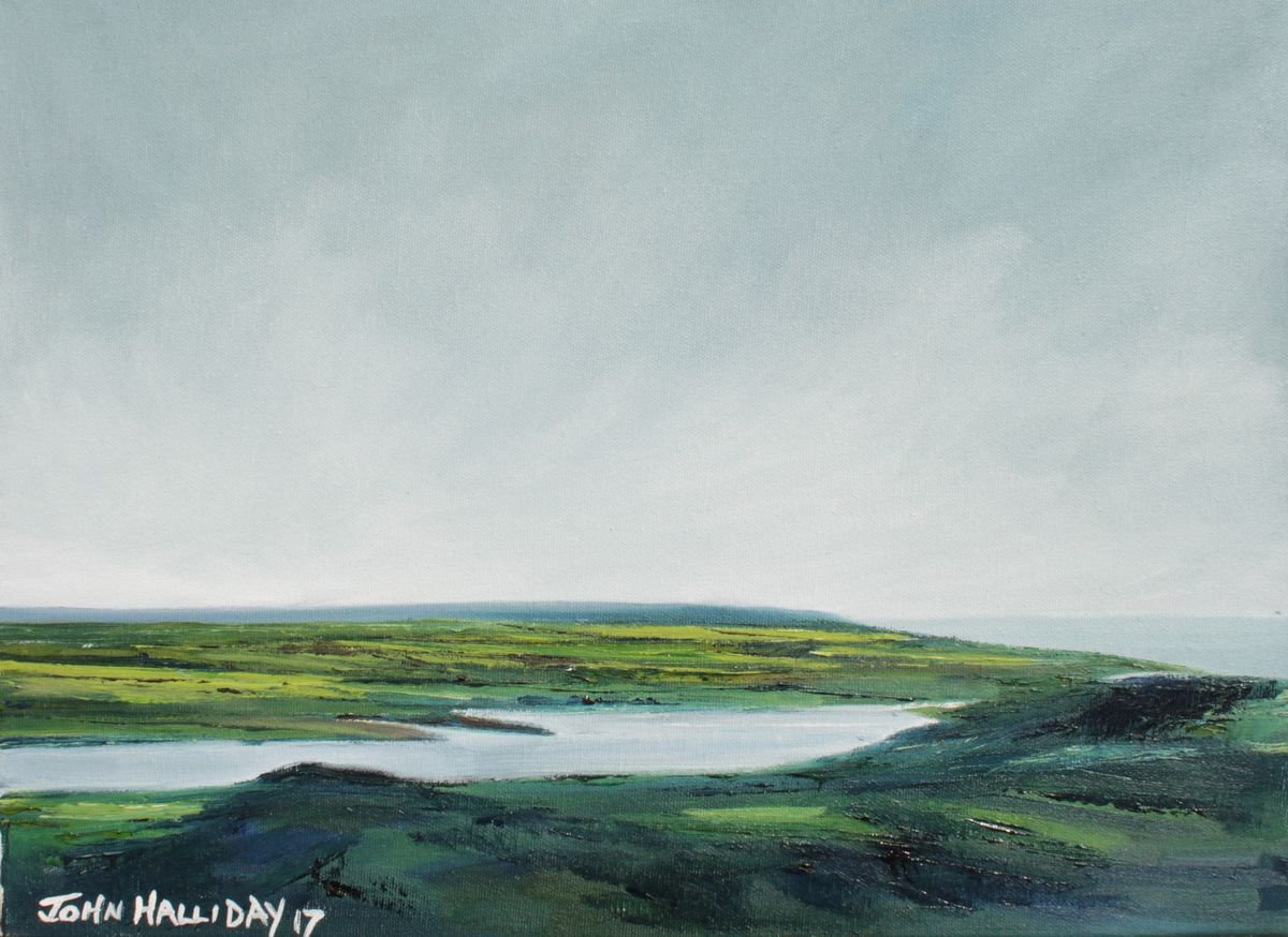 Impressionistic Botanical Oil Painting By John Halliday, 16 X 12, Estuary Light, Original Artwork