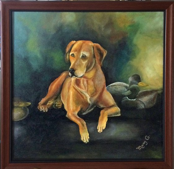 Realistic Original Oil Painting Hunting Labrador 24x24 framed