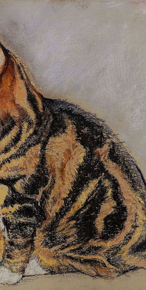 Alfie by Patricia Clements