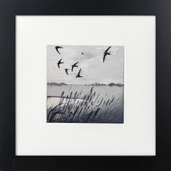 Marshes swallows