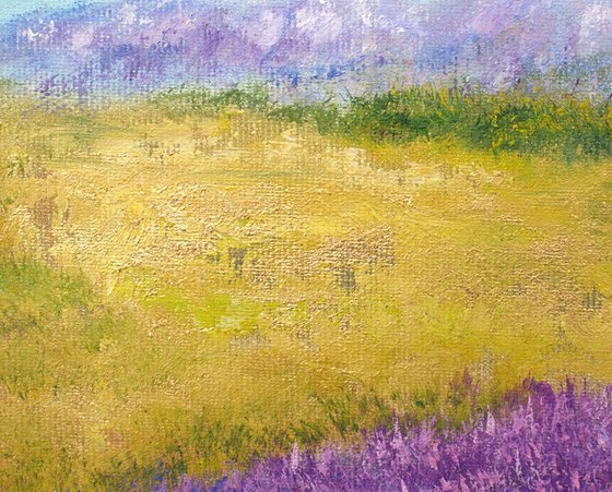 Lavender landscape