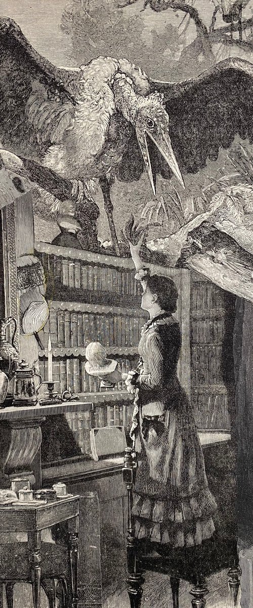 Large bird in the library by Tudor Evans