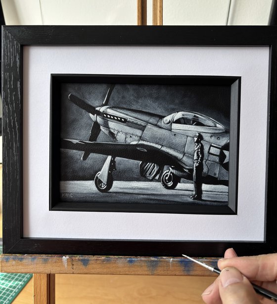 Monochrome medium P51 Mustang