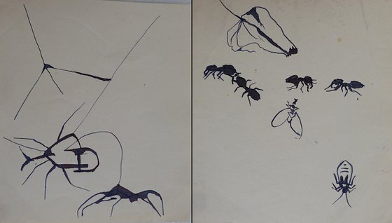 Study of insects, diptych