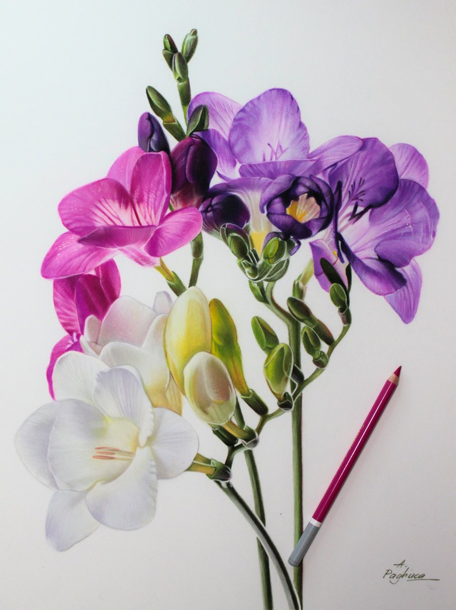 Photorealistic Botanical Pastel Drawing By Alessandra Pagliuca, 16 X 20, Flower Bouquet, Original Artwork