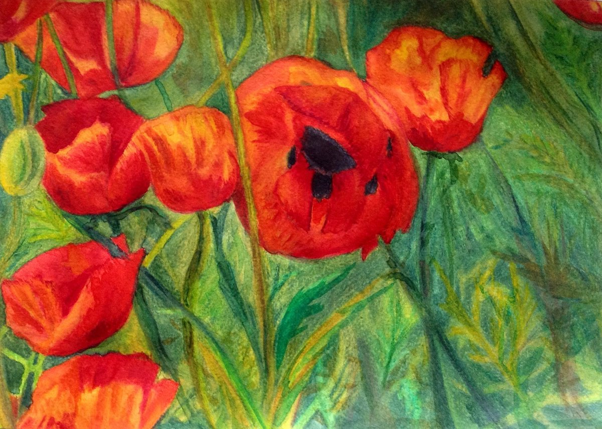 Impressionistic Botanical Watercolour By Vera Klimova, 12 X 8", Poppies, Original Artwork